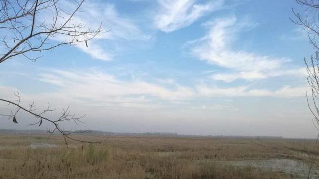 雄县容城安新躁动，白洋淀鱼儿跳跃雄安新区百姓痛快