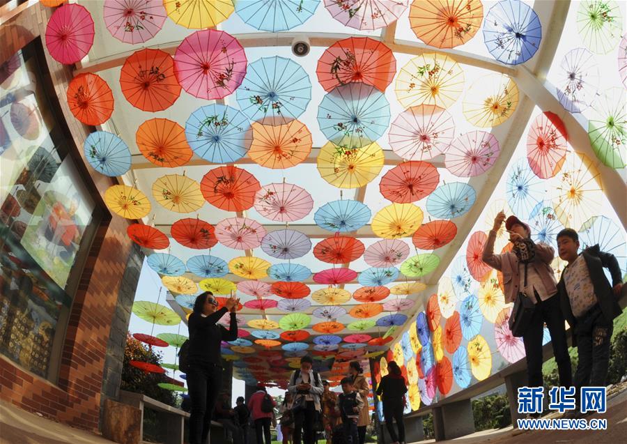 多彩油纸伞如花盛开，连云港市举办首届油纸伞文化节