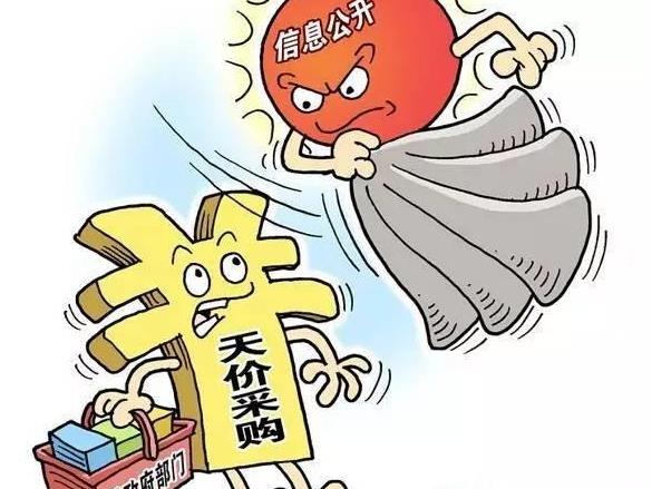没有规则自主发挥余地较大，政府采购大多是高价采购