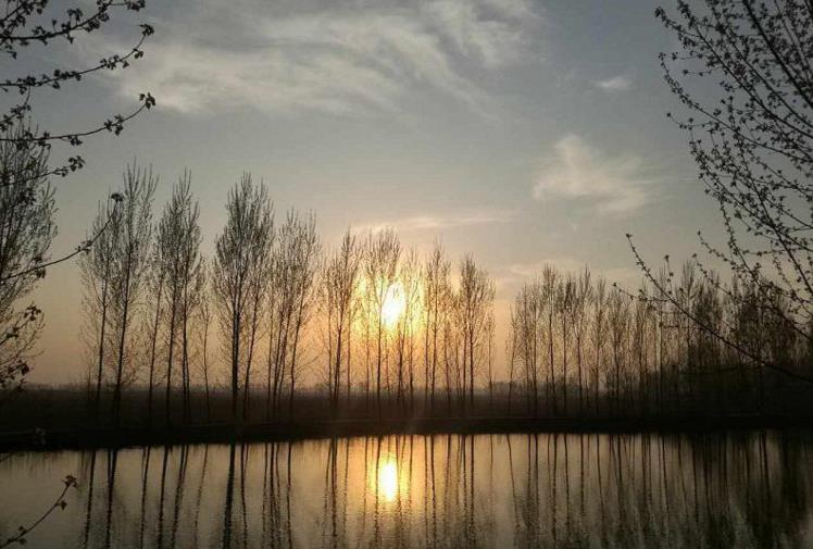 雄县容城安新躁动，白洋淀鱼儿跳跃雄安新区百姓痛快