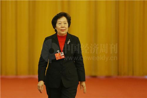 胡泽君：推进审计监督全覆盖，有效促进廉洁政府形成