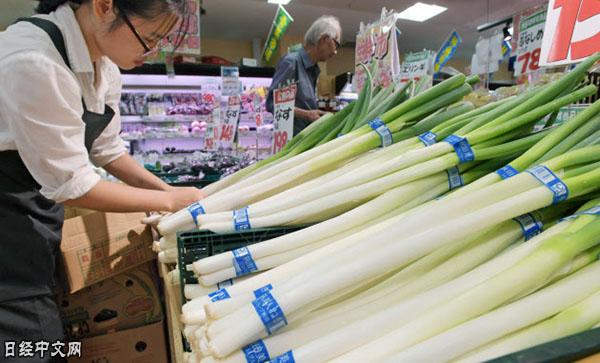 日本蔬菜受灾大量缺货，买家洽询急增中国蔬菜救急