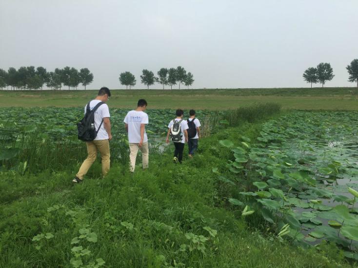 图河镇沂河畔荷花广泛种植，生态环境美好令人流连忘返