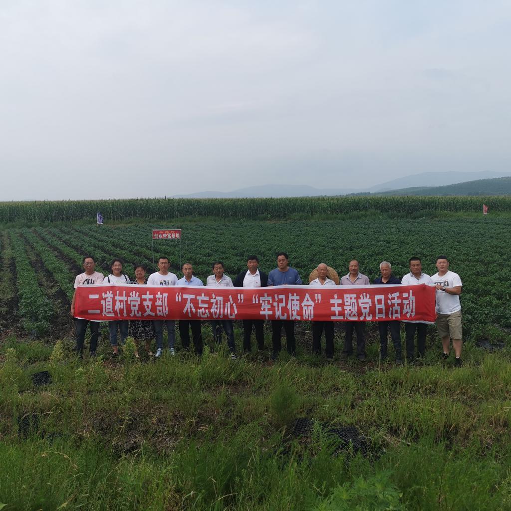 夹信子镇打造菜篮子为宝清县市民蔬菜供应提供有力保障