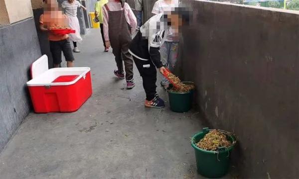 阜阳小学生倒营养餐“溢出垃圾桶”：难吃也是种浪费