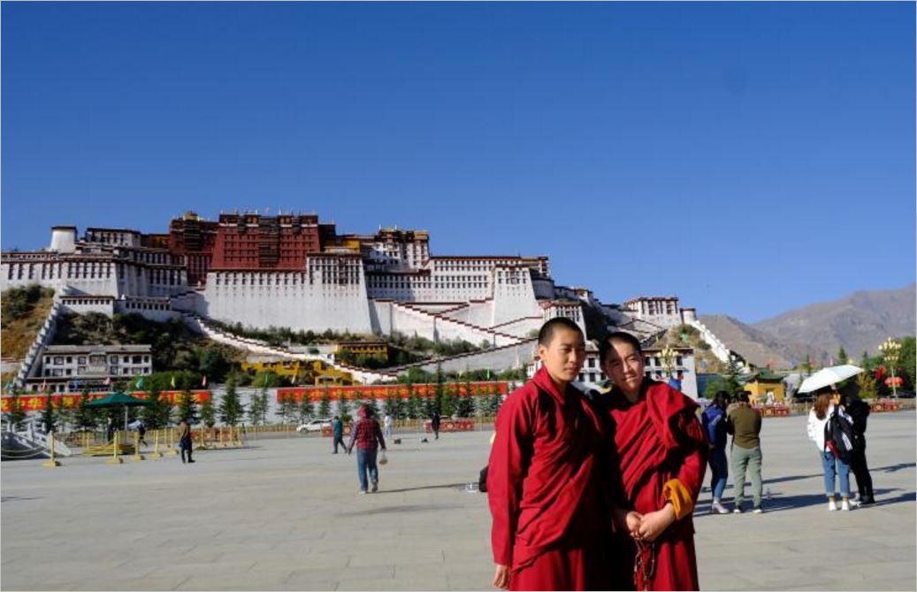 藏民离牧场进市场，西藏在扶贫政策下发生积极变化