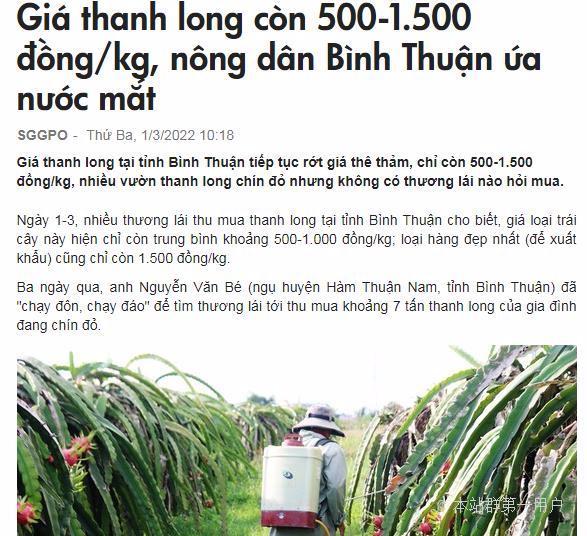 火龙果收购价格跌至1毛，出口大国越南到底犯了什么错