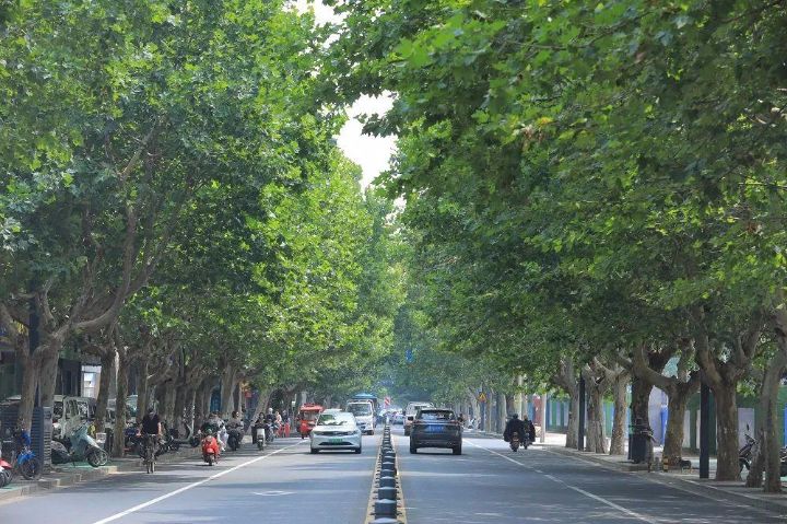 连云港：春意盎然，夏荫蔽日，秋色斑斓，冬阳广照