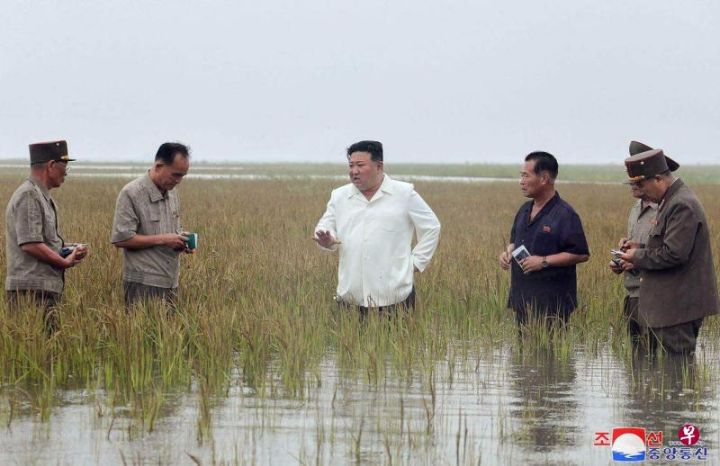 金正恩用流氓脑袋笨官僚认知扭曲作风软弱严批，朝鲜总理金德训挨批后亮相主持内阁 ...