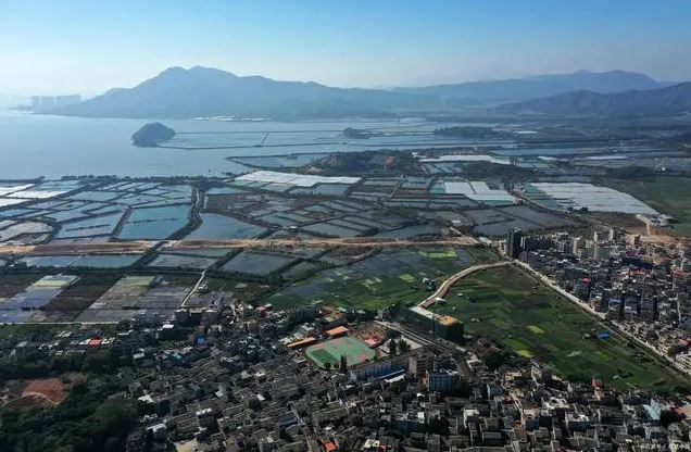 省部共建（苏鲁）水产品交易市场，江苏唯一国家级水产品交易市场即将招标 ...