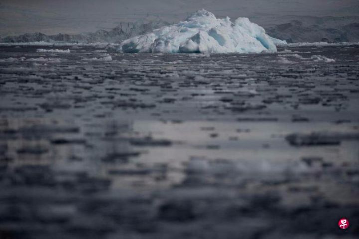 南极洲海冰面积写下历史新低，我们确实需要减少温室气体排放