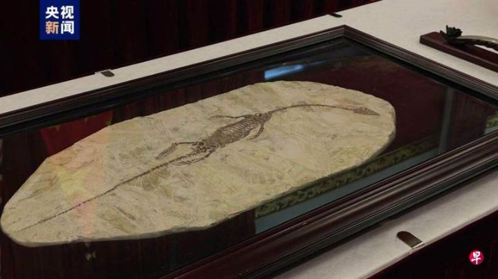 澳大利亚国家美术馆首次向中国返还文物艺术品，其中包括潜龙化石、观音铜像和骑马俑 ...