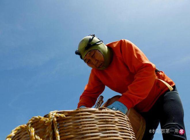 日本经济白皮书：年长员工是企业宝贵资源，社会虽然步入高龄化但老人仍积极活跃于职场