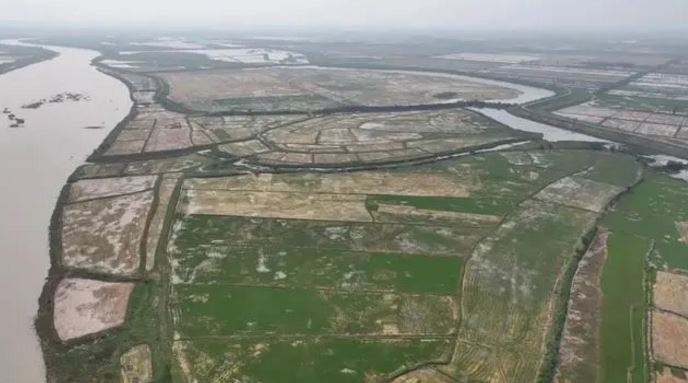 中央点名后决心一拆到底，中央生态环保督察曝光鄱阳湖非法矮围整治流于形式问题有了进展 ... ...