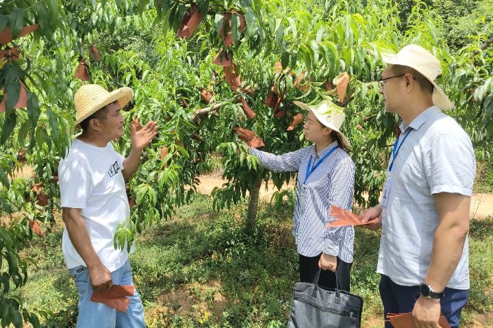 群众反对痛恨什么就坚决防范纠正什么让群众点题靶向纠治顽疾严肃查处群众身边蝇贪蚁腐 ...