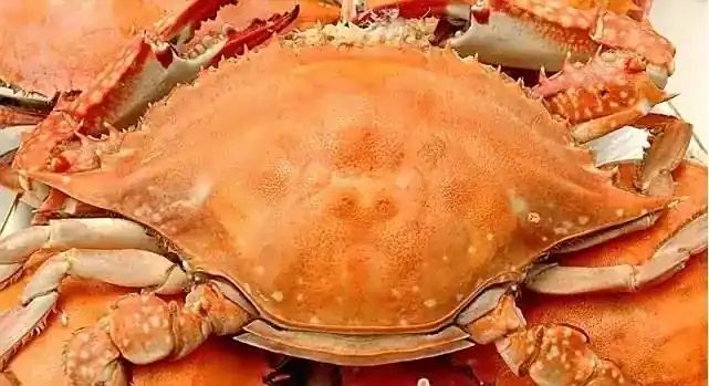 “赣榆梭子蟹”完成了一场从区域特产向全国性品牌进军的精彩跨越