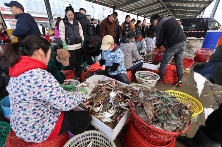 江苏连云港：秋捕梭子蟹喜丰收，渔民及时将梭子蟹分拣、装箱、打包、外运供应各地市场 ...