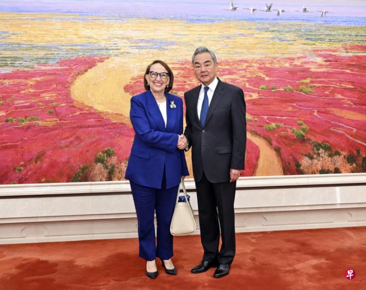 王毅会见下任联合国秘书长候选人格林斯潘：联合国是国际社会投入巨大心血的世纪工程 ...